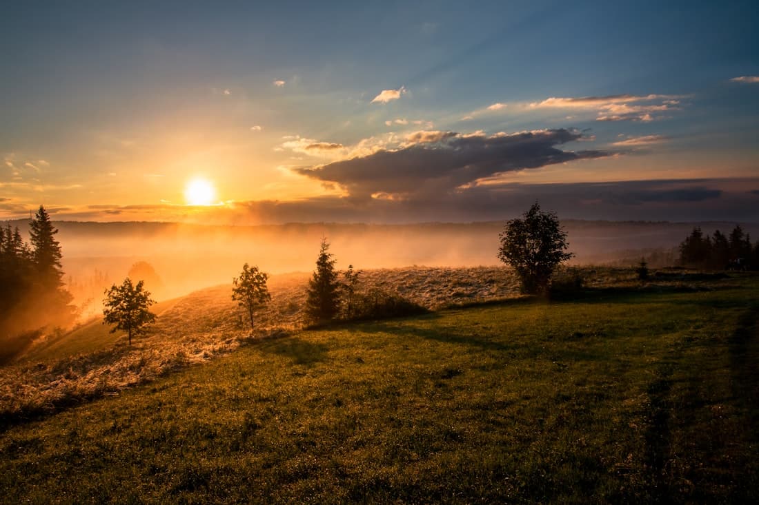 Warmes Morgenlicht über einem ruhigen Feld — ein Bild für Hoffnung und neue Anfänge
